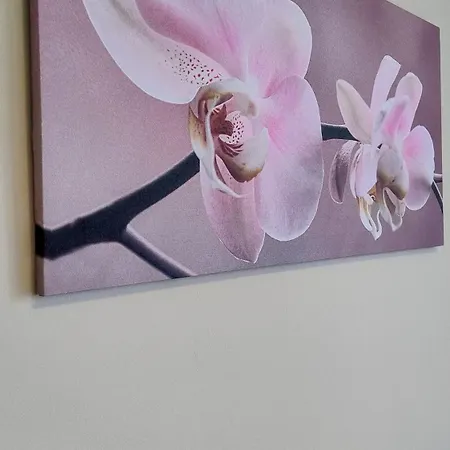 Apartament Sweet Bilocale Nuovissimo *