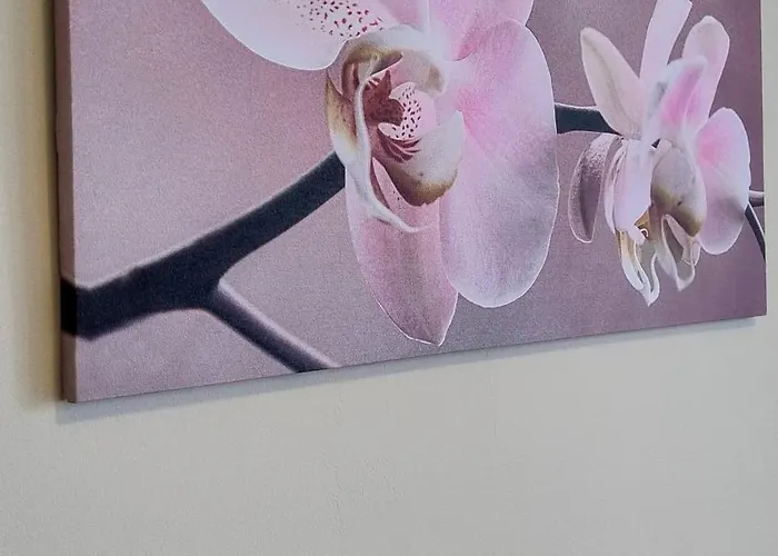 Apartamento Sweet Bilocale Nuovissimo *